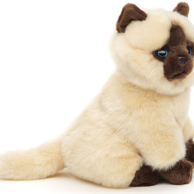 Beige-brown Siamese cat sitting - cuddly/plush toy