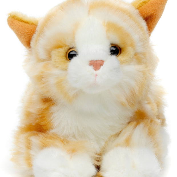 Cat with voice, lying down (brown-white)