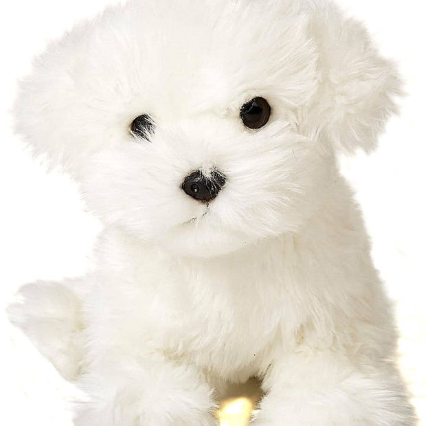 Maltese dog (without leash) - cuddly/plush toy