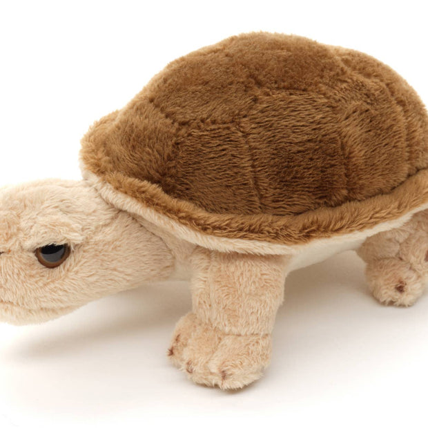 Tortoise Plushie - 14 cm
