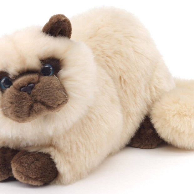 Persian cat beige, lying down - cuddly/plush toy