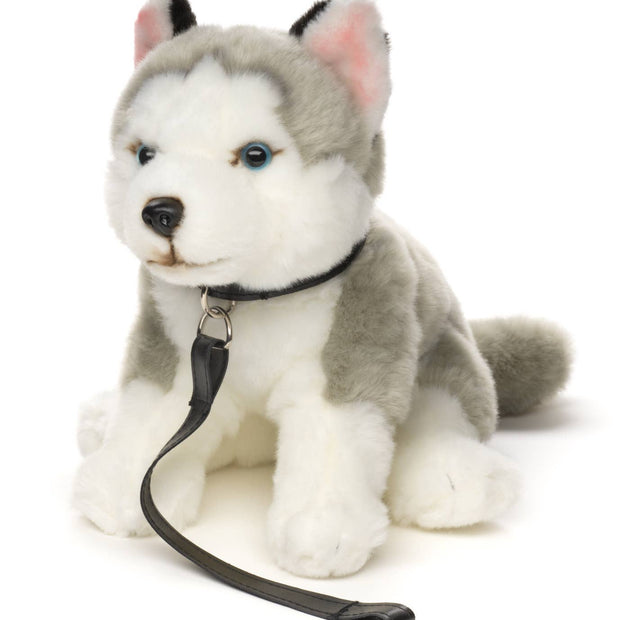 Husky grey, sitting (with leash) - cuddly/plush toy