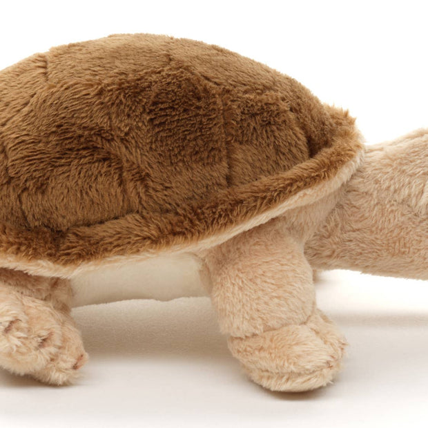 Tortoise Plushie - 14 cm