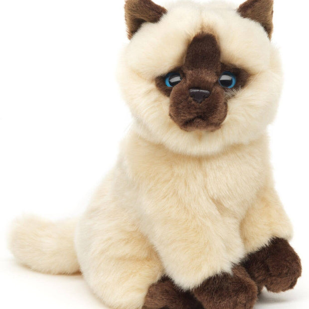 Beige-brown Siamese cat sitting - cuddly/plush toy
