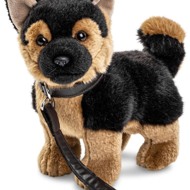 German Shepherd puppy (with leash)