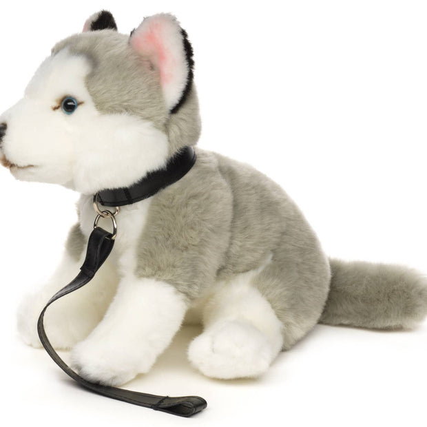 Husky grey, sitting (with leash) - cuddly/plush toy