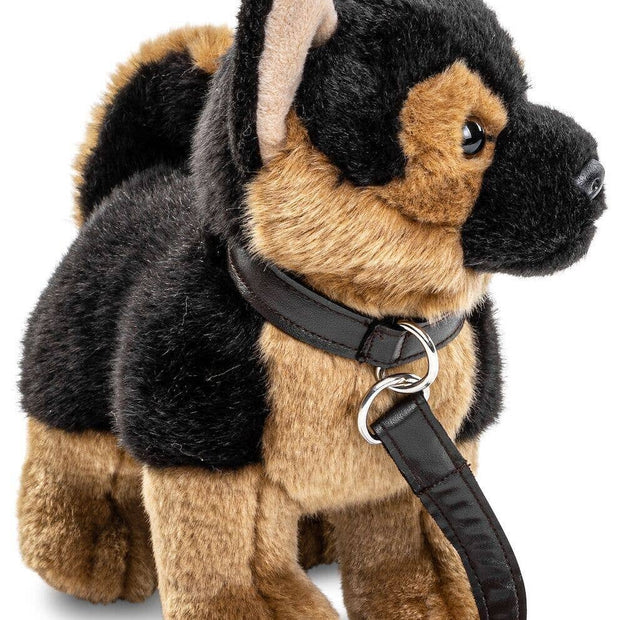German Shepherd puppy (with leash)